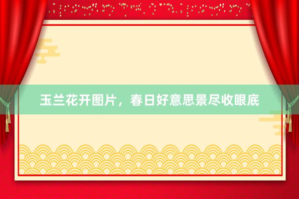 玉兰花开图片,春日好意思景尽收眼底