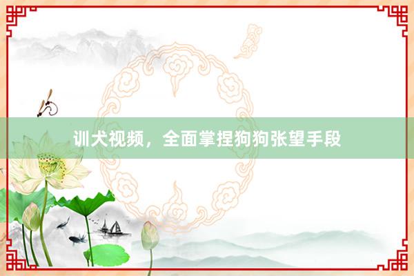 训犬视频，全面掌捏狗狗张望手段