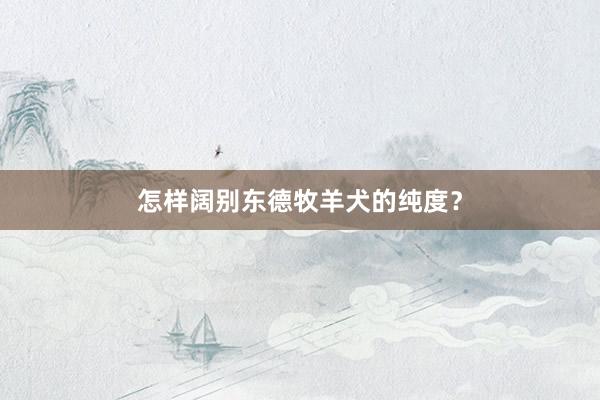 怎样阔别东德牧羊犬的纯度？