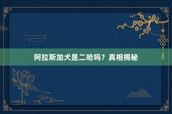 阿拉斯加犬是二哈吗？真相揭秘